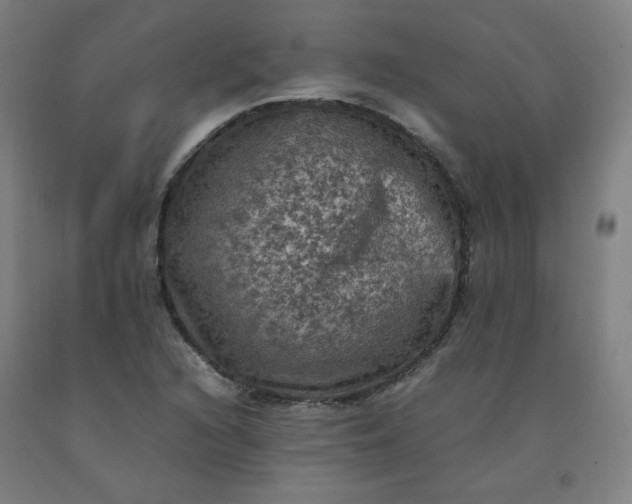 X0000092221216200709281036