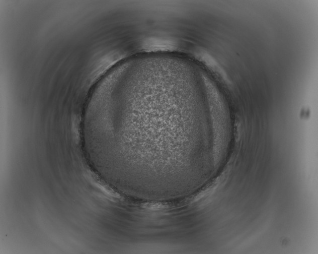 X0000092221217200709281036