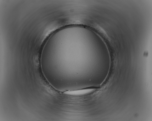X0000092221218200709281036