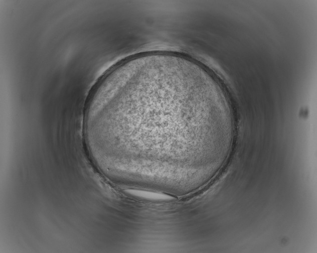 X0000092221220200709281036