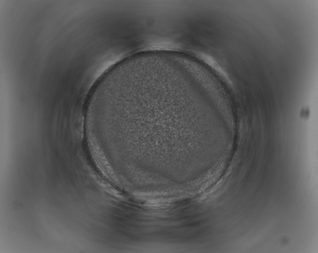 X0000092221221200709281036