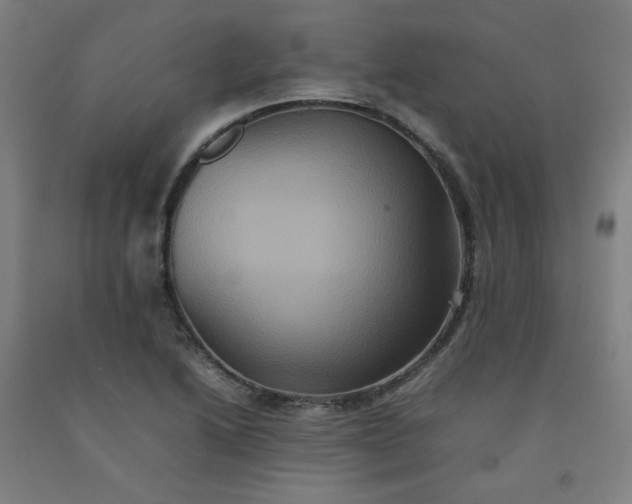 X0000092221222200709281036