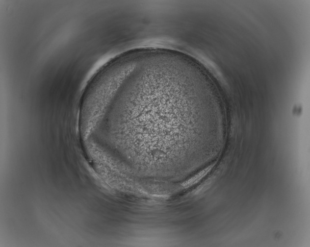 X0000092221224200709281036