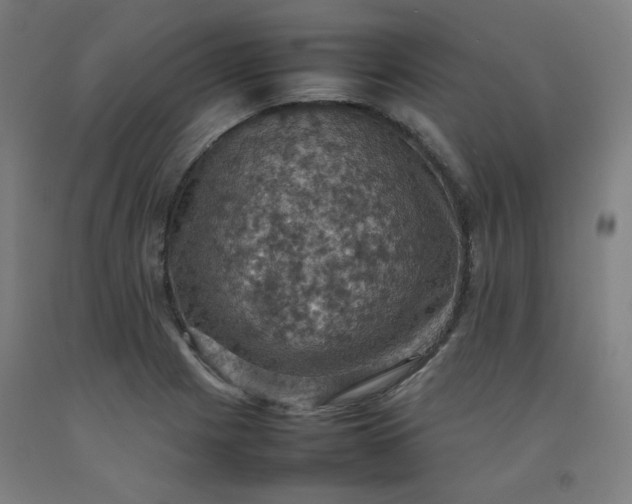 X0000092221225200709281036