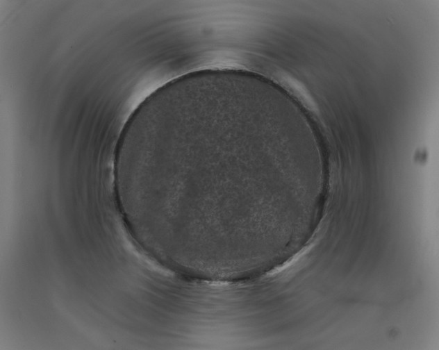 X0000092221226200709281036