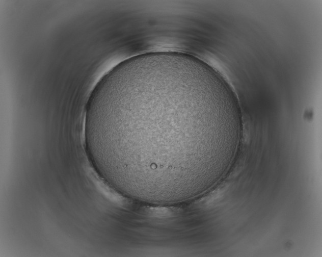X0000092221227200709281036