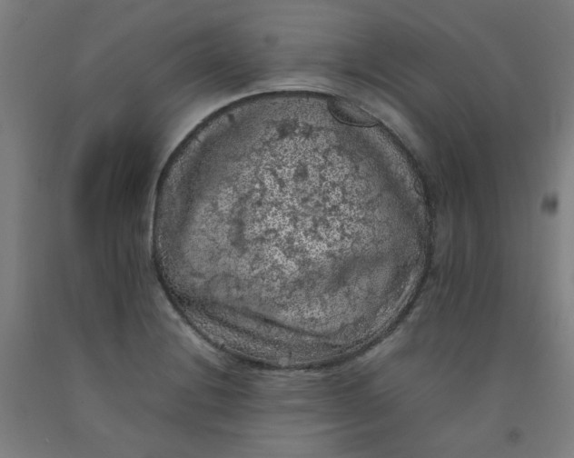 X0000092221228200709281036