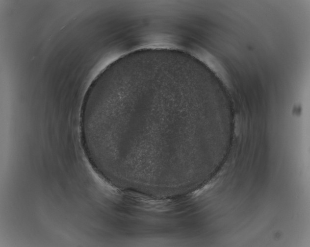 X0000092221229200709281036
