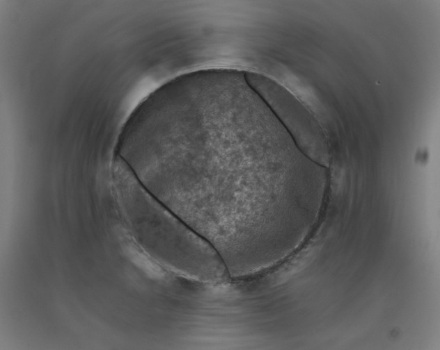 X0000092221230200709281036