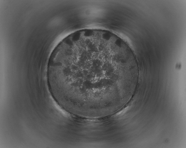 X0000092221231200709281036