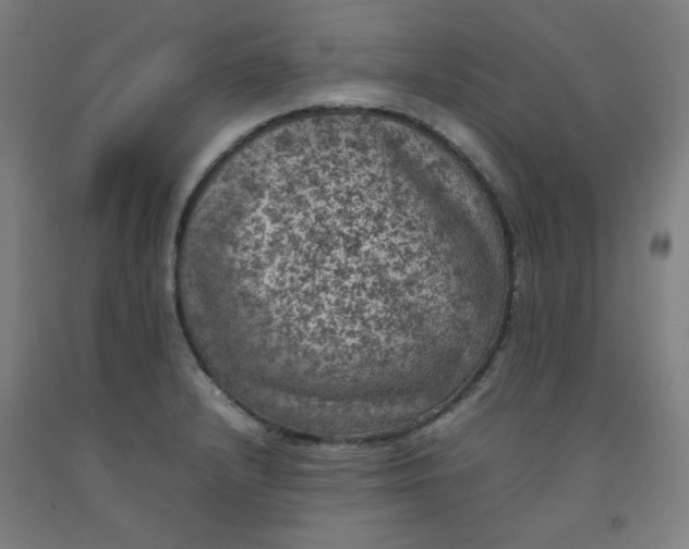 X0000092221232200709281036