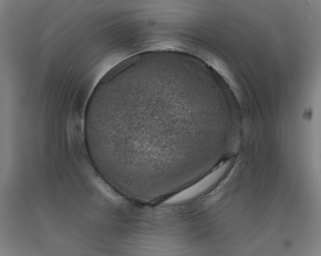 X0000092221234200709281037