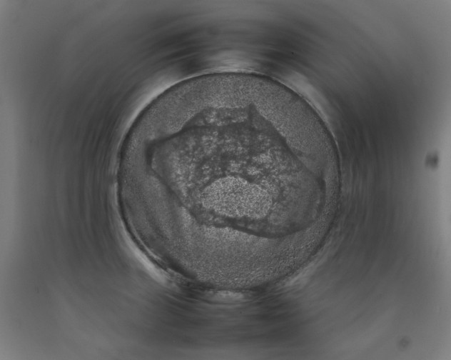 X0000092221235200709281037