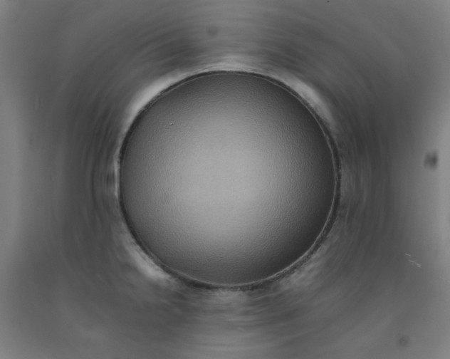 X0000092221238200709281037