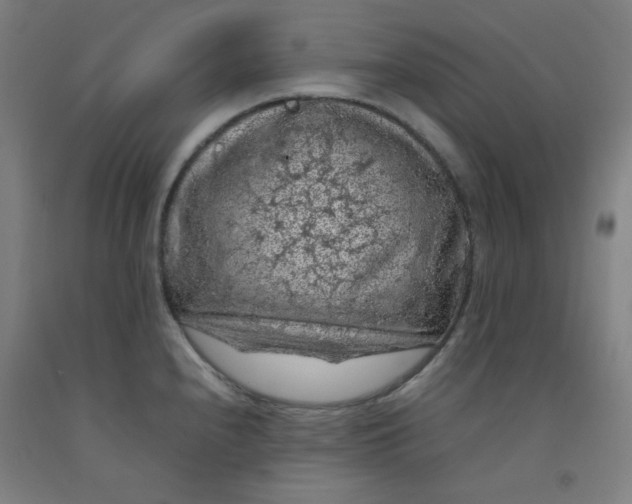 X0000092221240200709281037