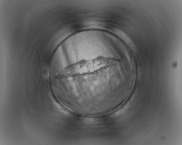 X0000092221241200709281037