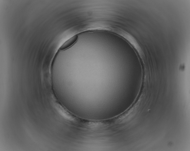 X0000092221242200709281037