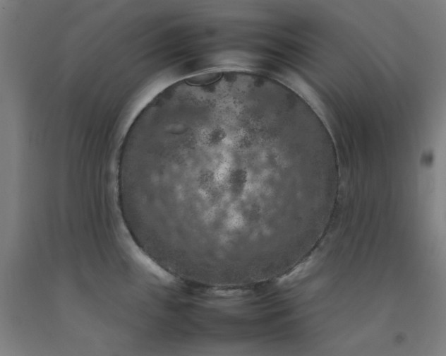 X0000092221243200709281037