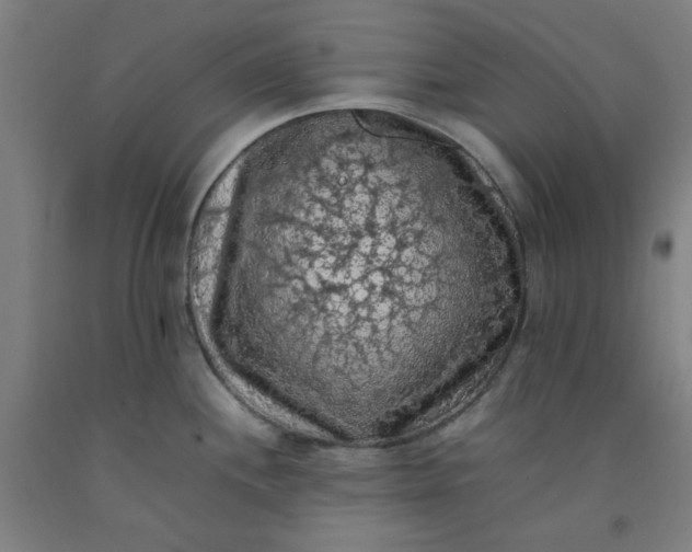 X0000092221244200709281037