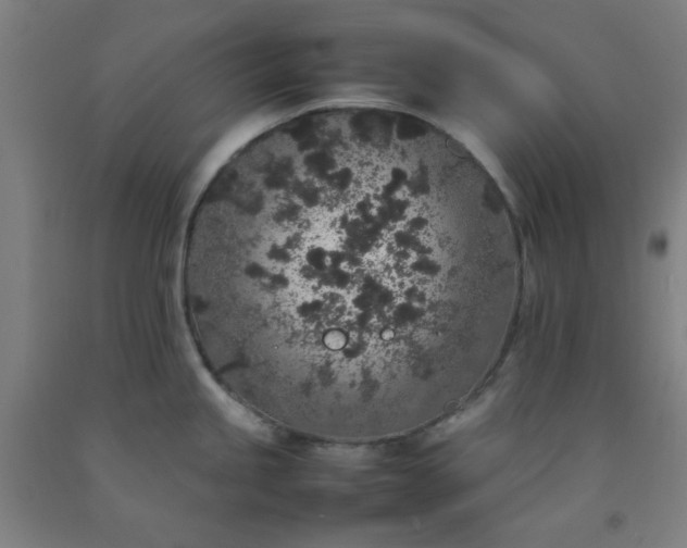 X0000092221245200709281037