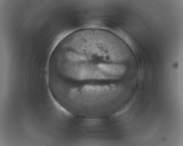 X0000092221247200709281037