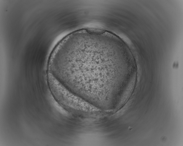 X0000092221248200709281037