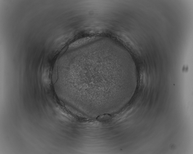 X0000092221250200709281036