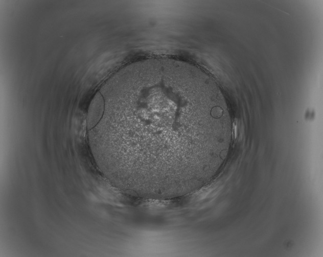 X0000092221251200709281036