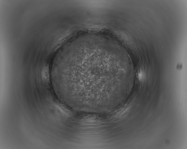 X0000092221252200709281036