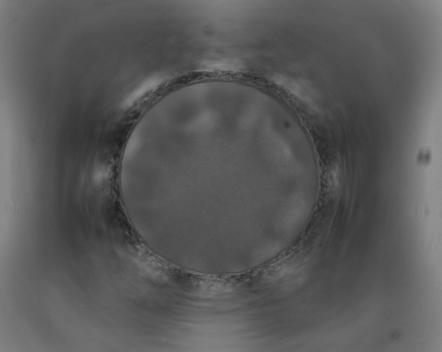 X0000092221254200709281036