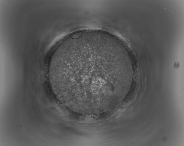 X0000092221255200709281036