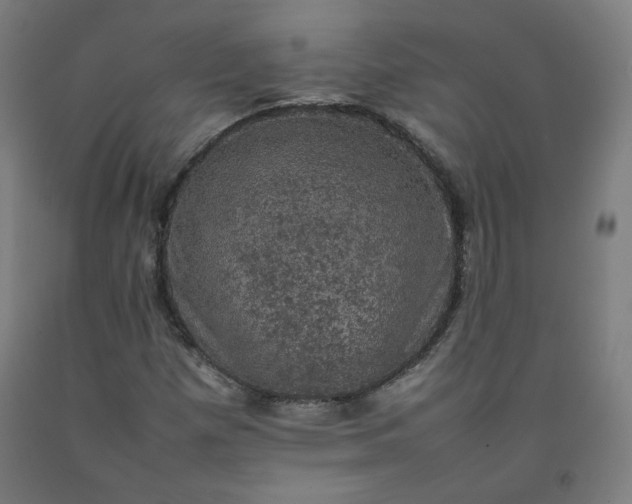 X0000092221257200709281036