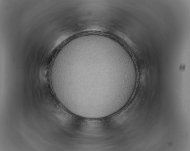 X0000092221258200709281036