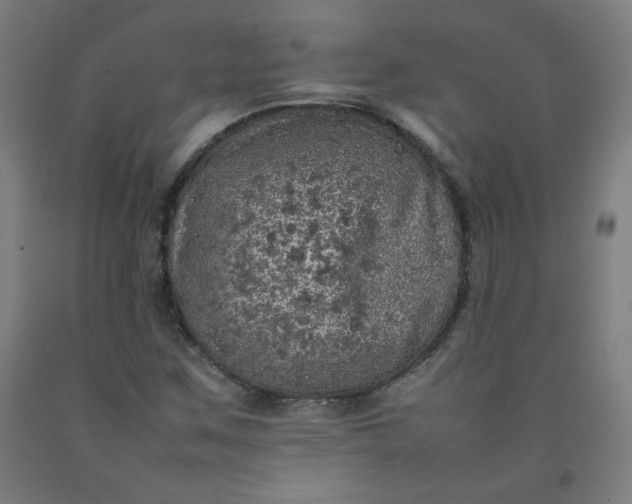X0000092221259200709281036