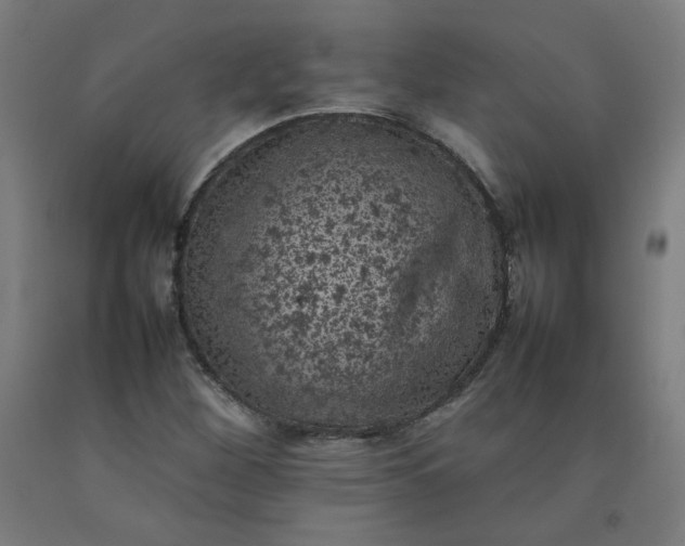 X0000092221260200709281036