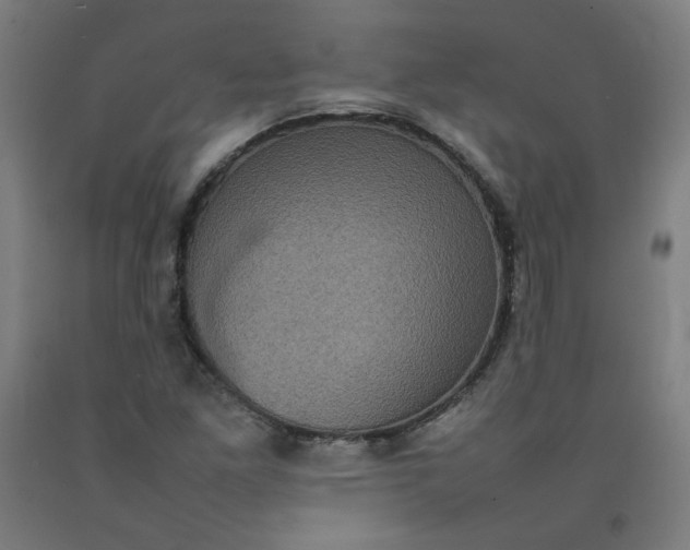 X0000092221261200709281036