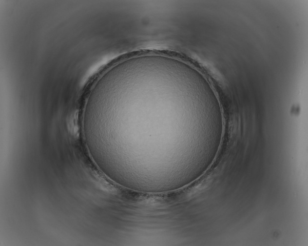X0000092221262200709281036