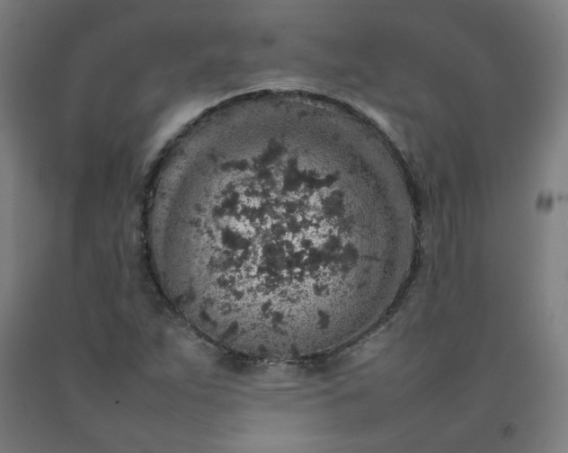 X0000092221263200709281036