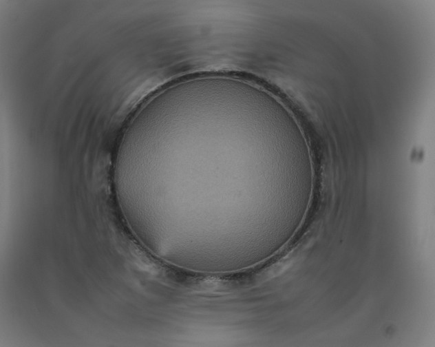 X0000092221265200709281036