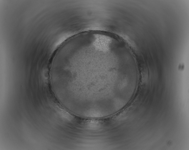 X0000092221266200709281036