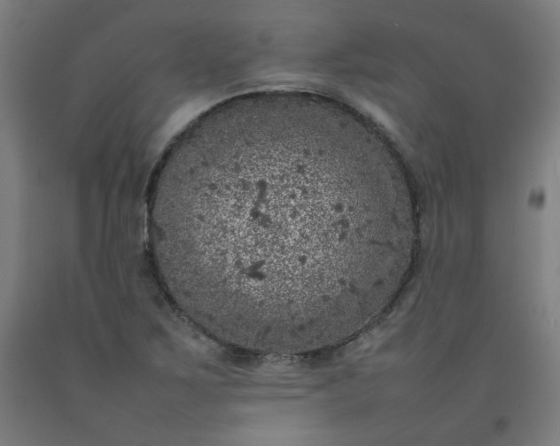 X0000092221267200709281036