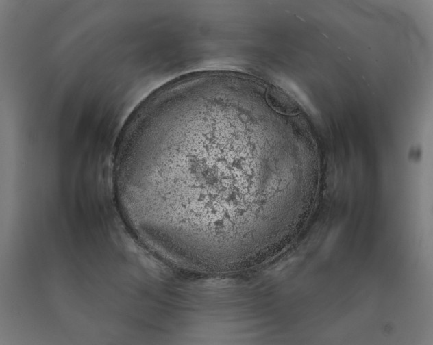 X0000092221268200709281036