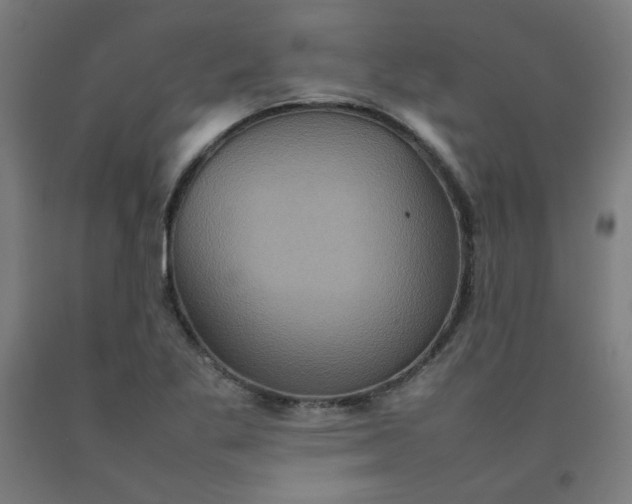 X0000092221269200709281036