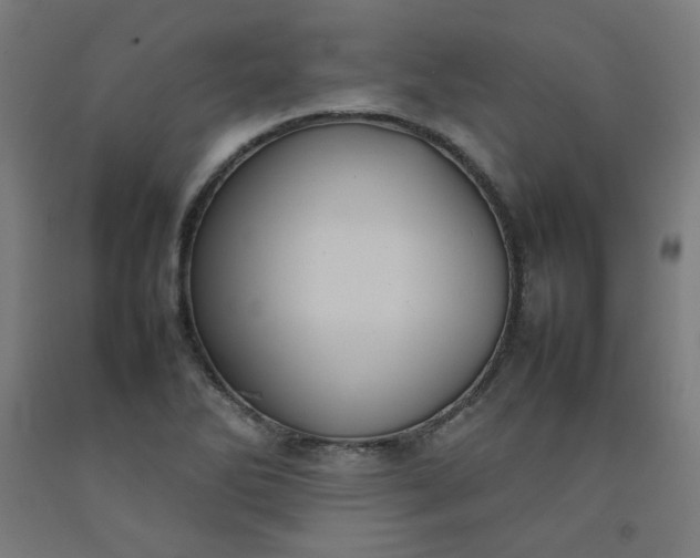 X0000092221270200709281036