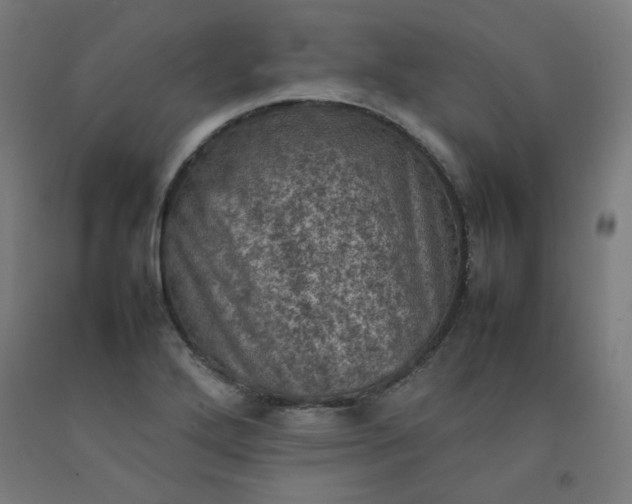 X0000092221272200709281036
