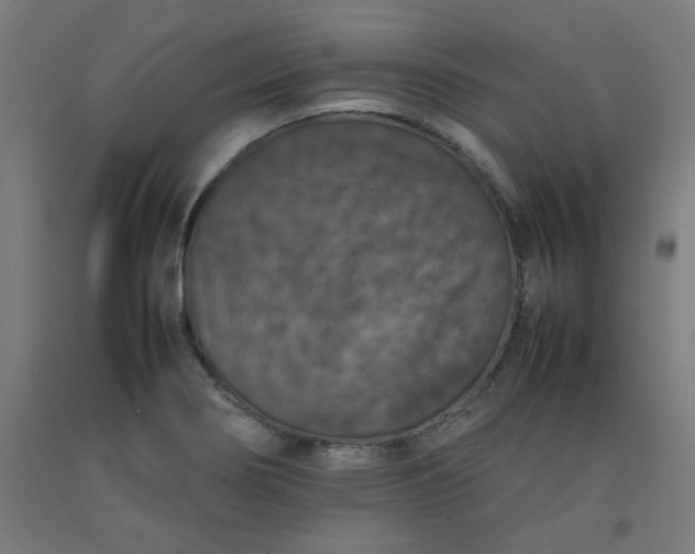 X0000092221274200709281036