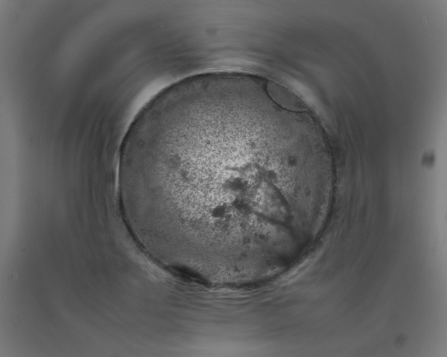 X0000092221275200709281036