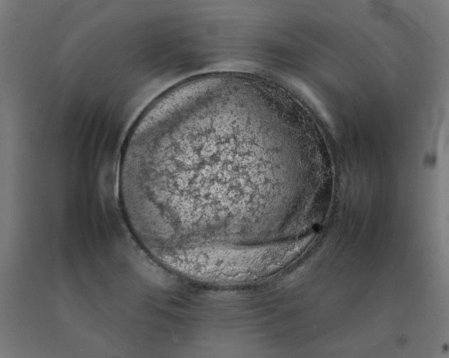 X0000092221276200709281036