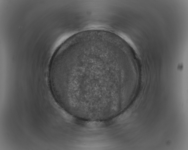 X0000092221277200709281036