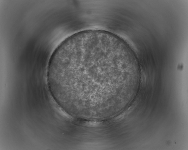 X0000092221278200709281036
